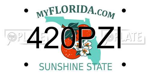 420PZI Florida License Plate