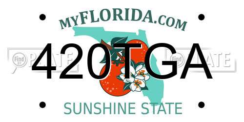 420TGA Florida License Plate