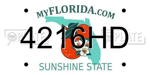 4216HD Florida License Plate