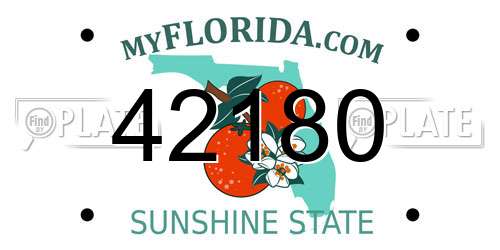 42180 Florida License Plate