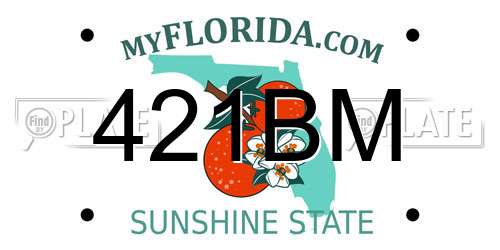 421BM Florida License Plate