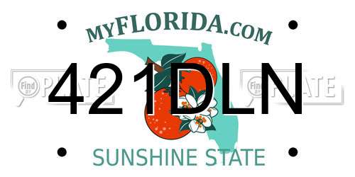 421DLN Florida License Plate