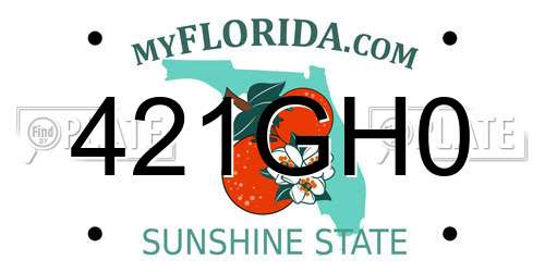 421GH0 Florida License Plate