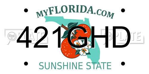 421GHD Florida License Plate