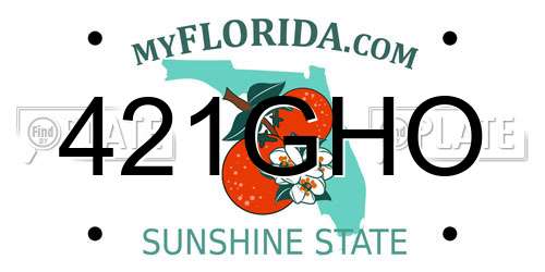 421GHO Florida License Plate
