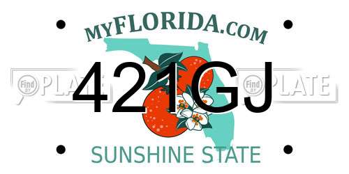 421GJ Florida License Plate