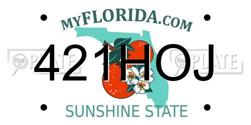 421HOJ Florida License Plate