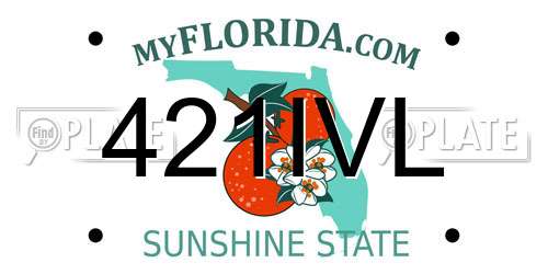 421IVL Florida License Plate