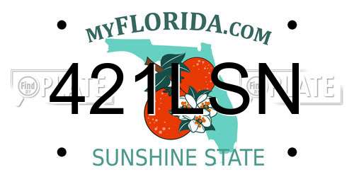 421LSN Florida License Plate