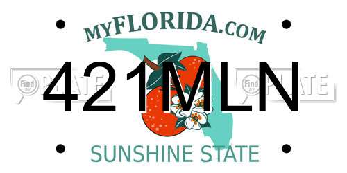 421MLN Florida License Plate