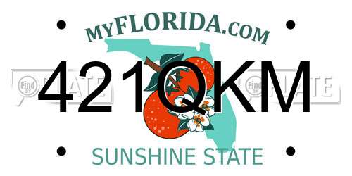421QKM Florida License Plate