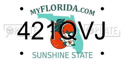 421QVJ Florida License Plate