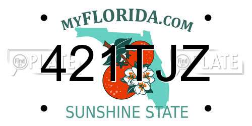 421TJZ Florida License Plate