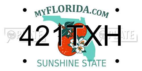 421TXH Florida License Plate