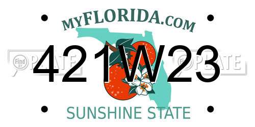 421W23 Florida License Plate