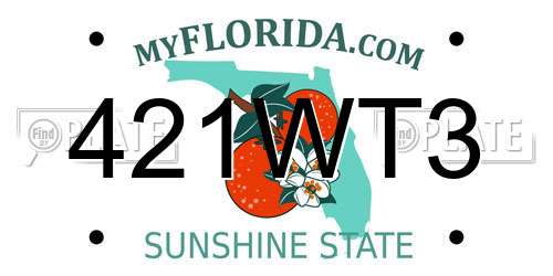 421WT3 Florida License Plate