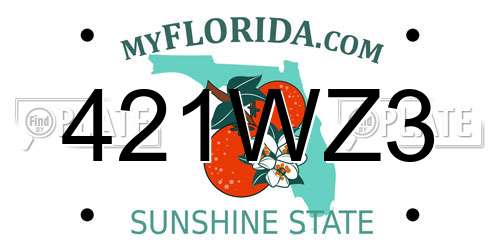 421WZ3 Florida License Plate
