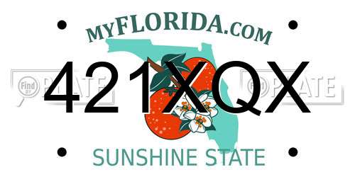 421XQX Florida License Plate