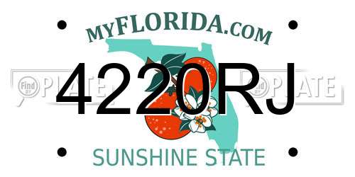 4220RJ Florida License Plate