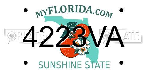 4223VA Florida License Plate