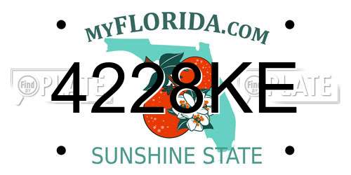 4228KE Florida License Plate