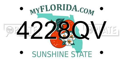 4228QV Florida License Plate