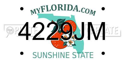 4229JM Florida License Plate