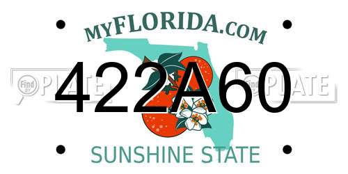 422A60 Florida License Plate
