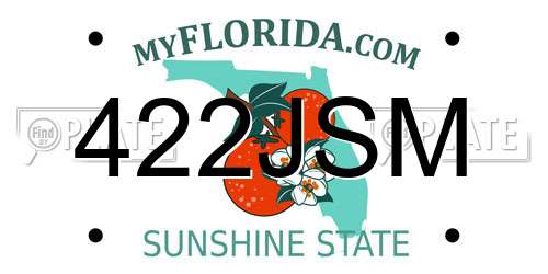 422JSM Florida License Plate