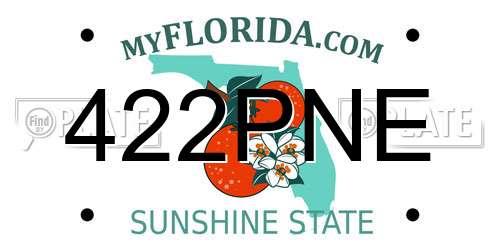 422PNE Florida License Plate