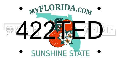 422TED Florida License Plate