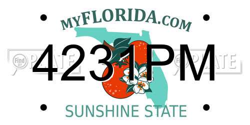 4231PM Florida License Plate