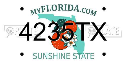 4235TX Florida License Plate
