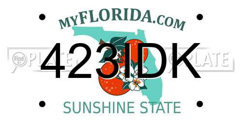 423IDK Florida License Plate