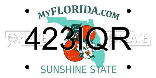 423IQR Florida License Plate