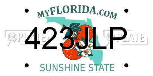 423JLP Florida License Plate