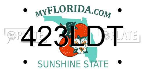 423LDT Florida License Plate