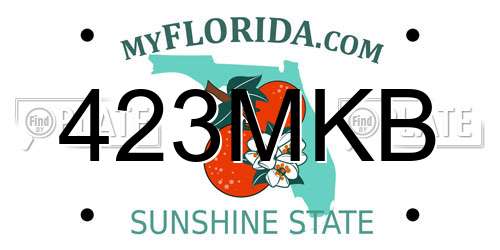 423MKB Florida License Plate