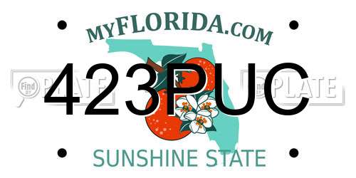423PUC Florida License Plate