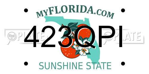 423QPI Florida License Plate