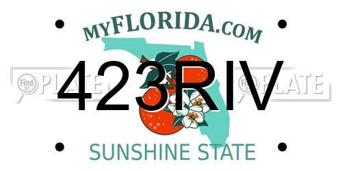 423RIV Florida License Plate