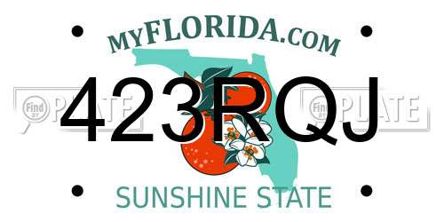 423RQJ Florida License Plate
