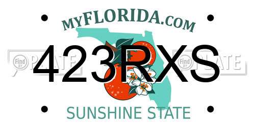 423RXS Florida License Plate