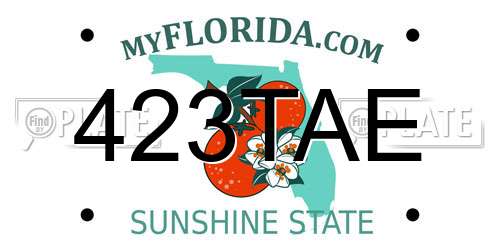 423TAE Florida License Plate