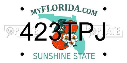 423TPJ Florida License Plate
