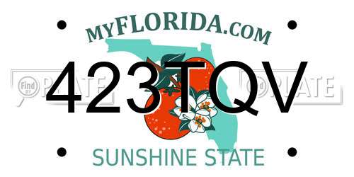 423TQV Florida License Plate