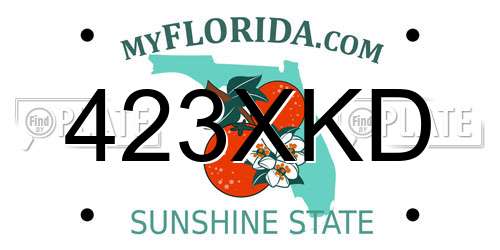 423XKD Florida License Plate