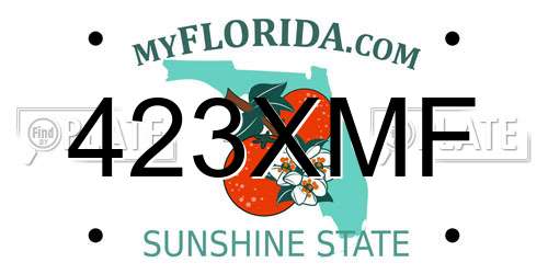 423XMF Florida License Plate