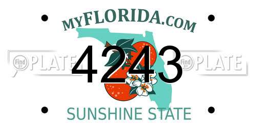 4243 Florida License Plate