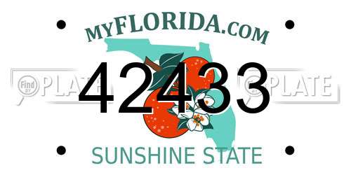 42433 Florida License Plate